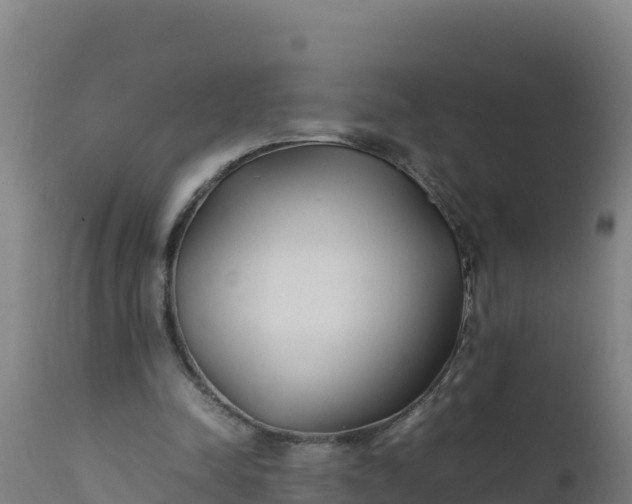 X0000112410342200908281819