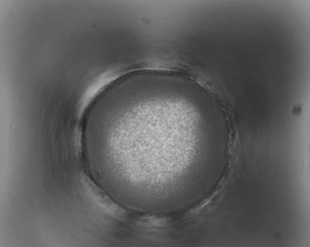 X0000112410343200908281819