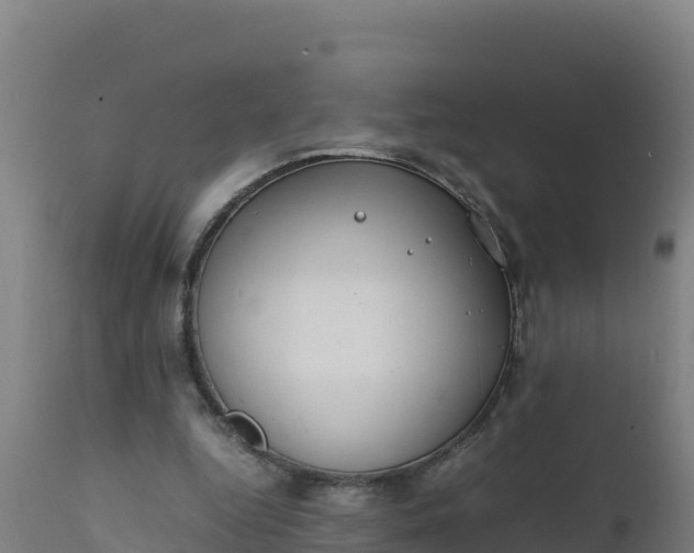 X0000112410344200908281819