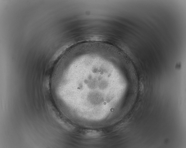 X0000112410347200908281819