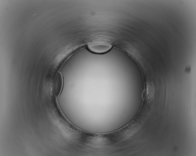 X0000112410348200908281819