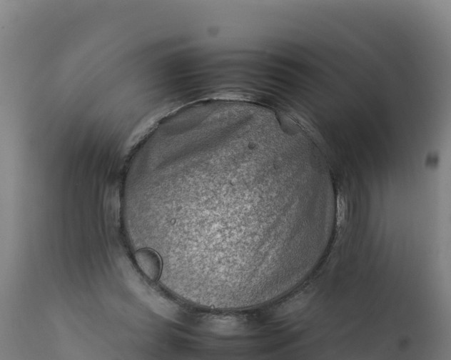 X0000112410349200908281819