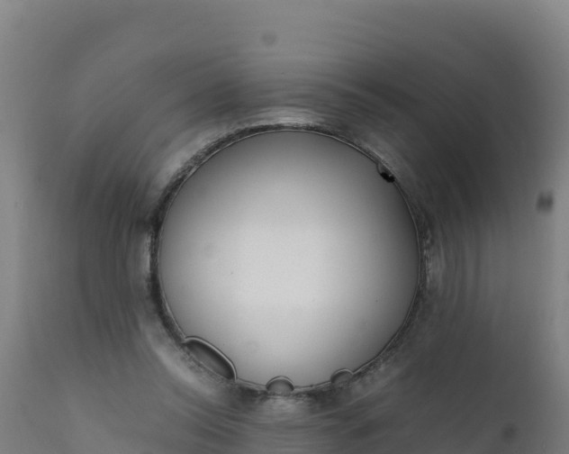 X0000112410350200908281820