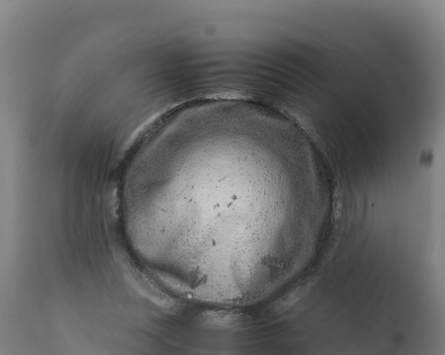 X0000112410351200908281820