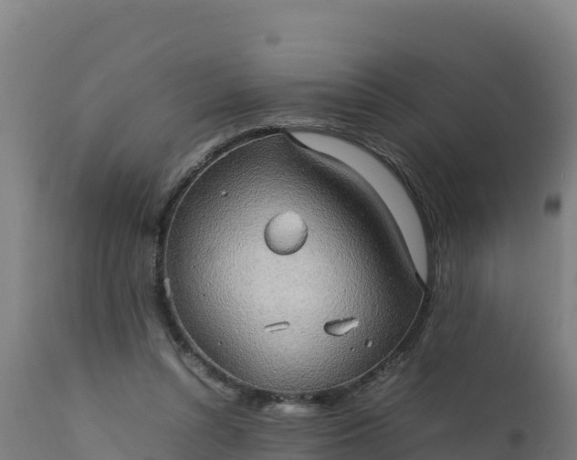 X0000112410352200908281820