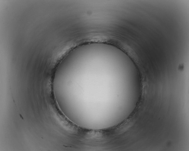 X0000112410354200908281820