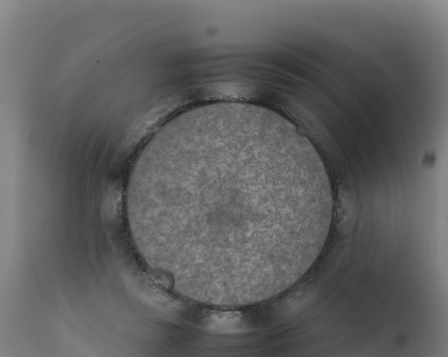 X0000112410355200908281820