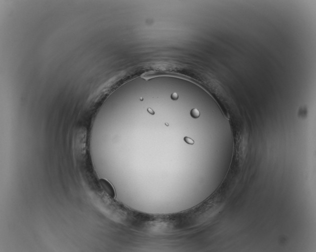 X0000112410356200908281820