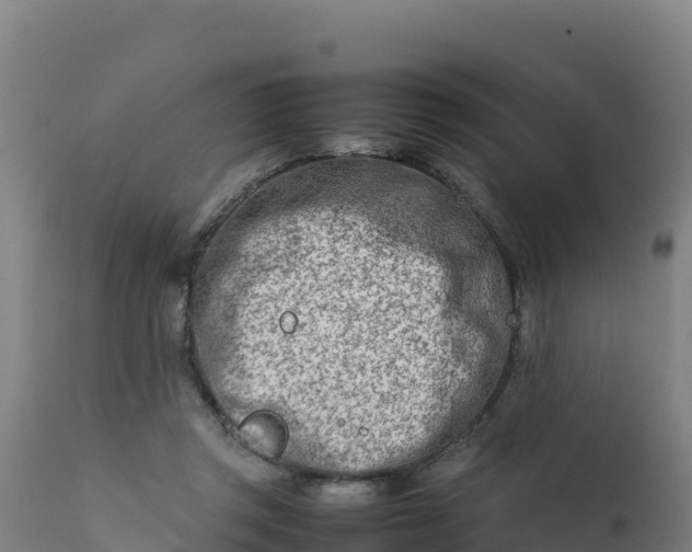 X0000112410357200908281820