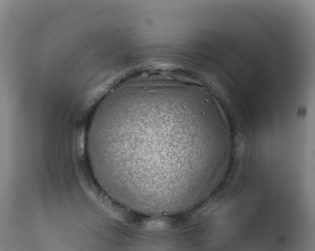 X0000112410358200908281820