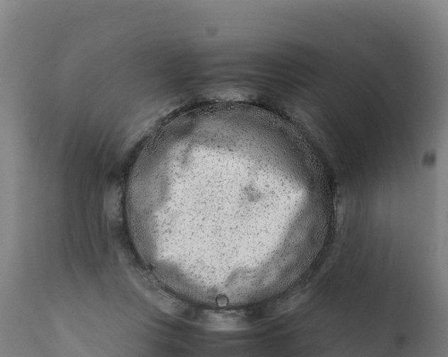 X0000112410359200908281820