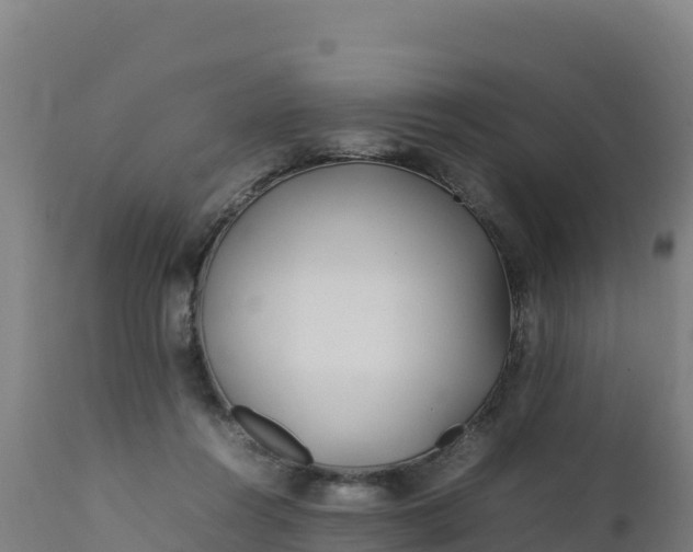 X0000112410360200908281820