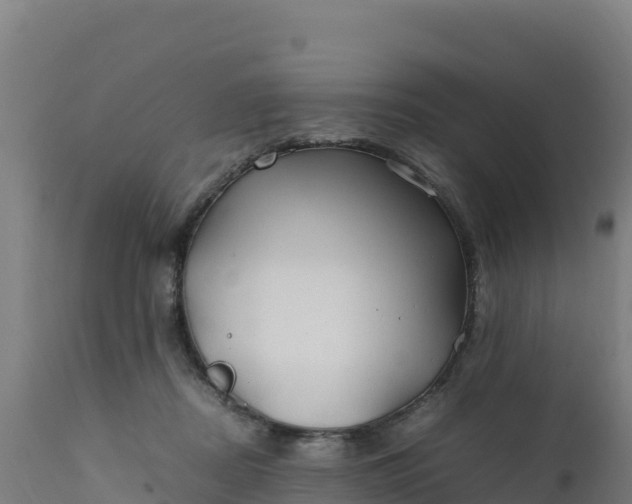 X0000112410362200908281820