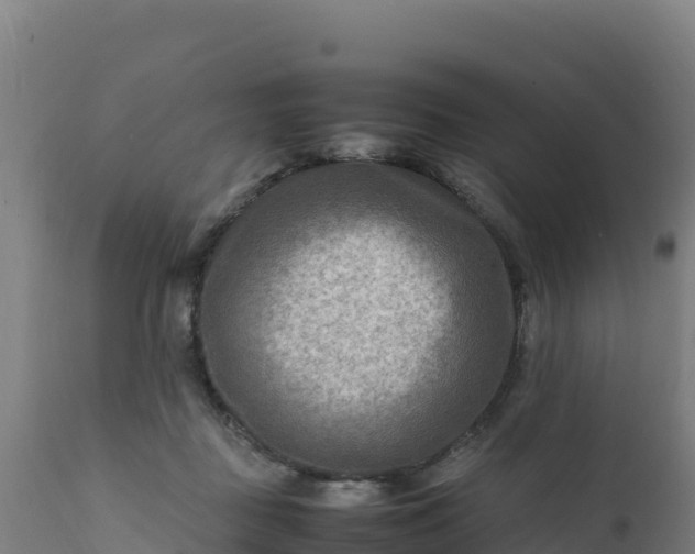 X0000112410363200908281820