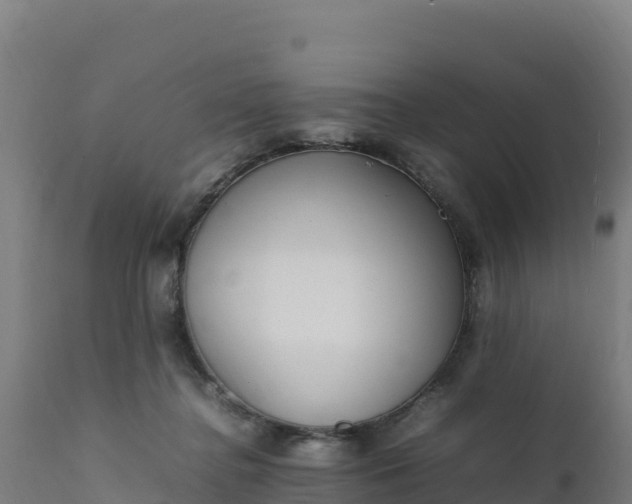 X0000112410364200908281820