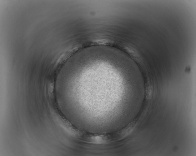 X0000112410365200908281820