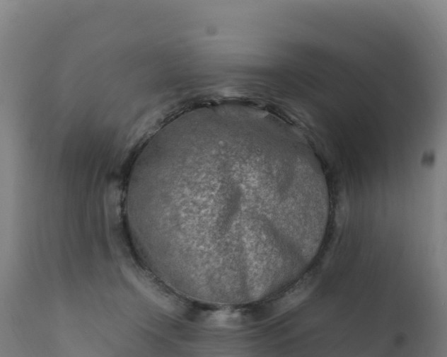 X0000112410366200908281820