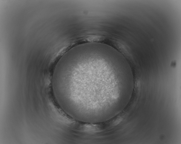 X0000112410367200908281820