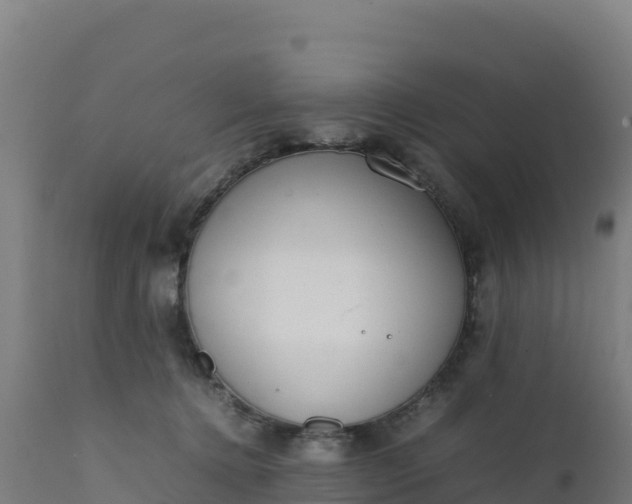 X0000112410368200908281820