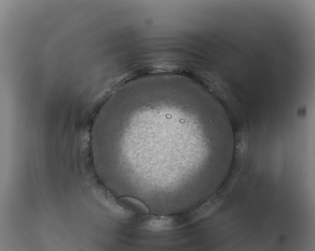 X0000112410369200908281820