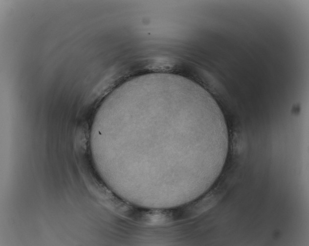 X0000112410370200908281820