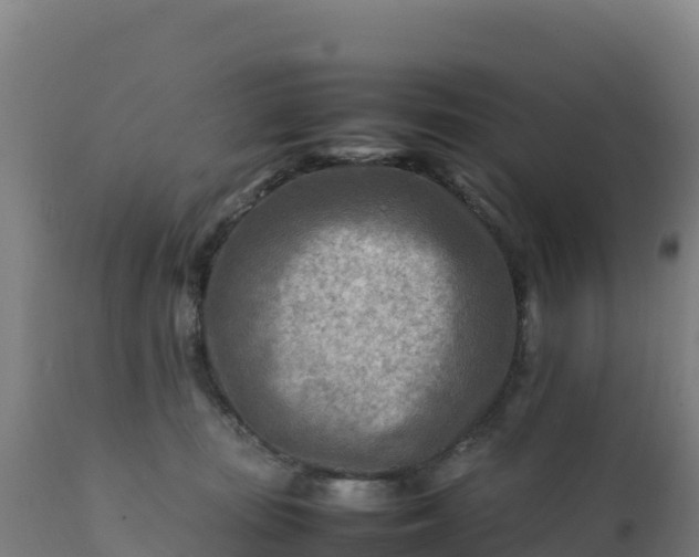 X0000112410371200908281820