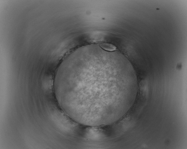 X0000112410372200908281820