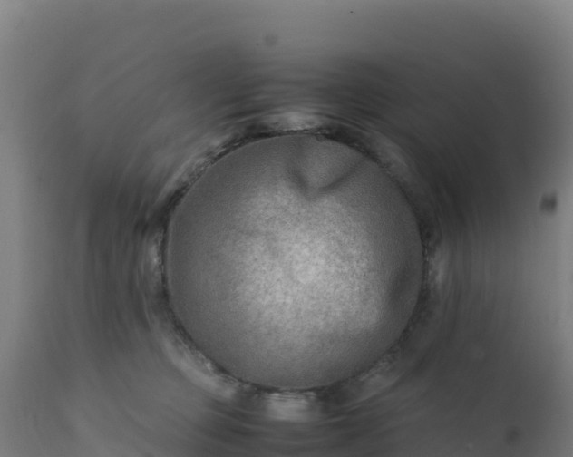 X0000112410373200908281820