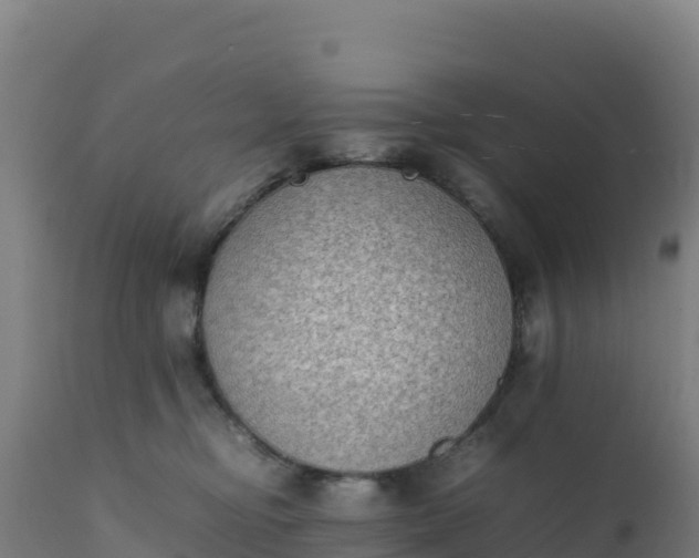 X0000112410374200908281820