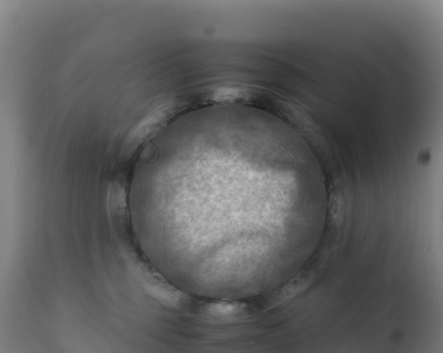 X0000112410375200908281820