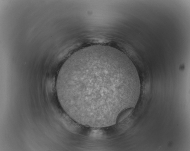 X0000112410376200908281820