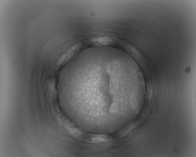 X0000112410377200908281820