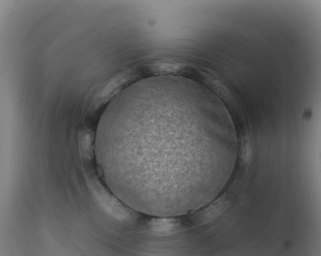 X0000112410378200908281820