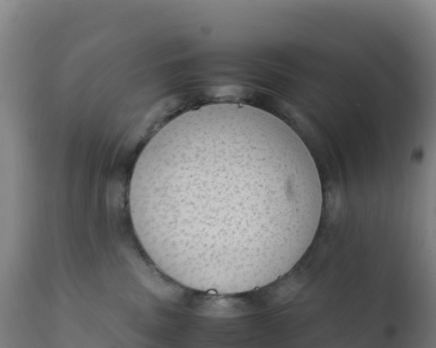 X0000112410379200908281820