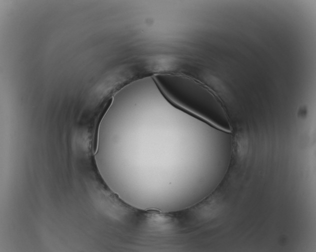 X0000112410380200908281820