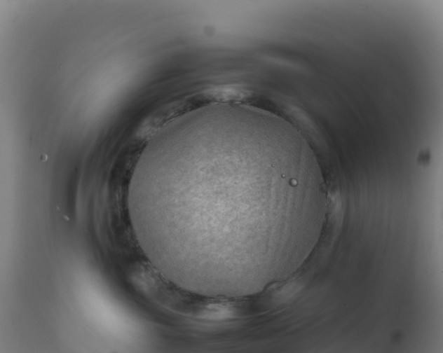 X0000112410381200908281820