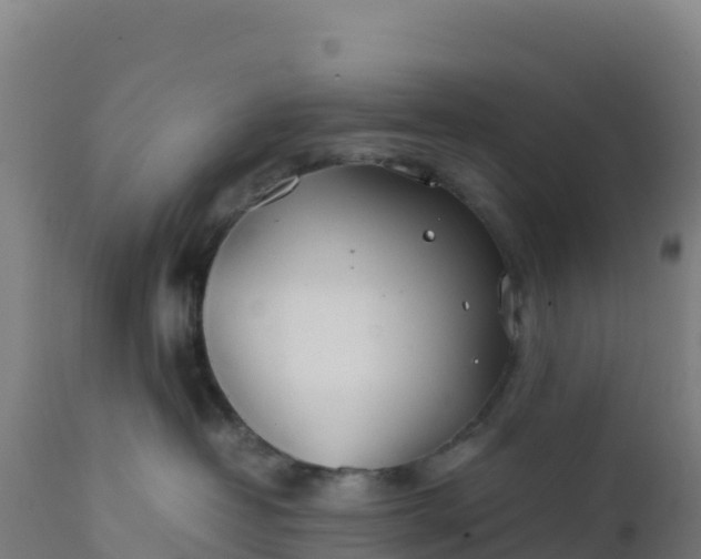 X0000112410382200908281820