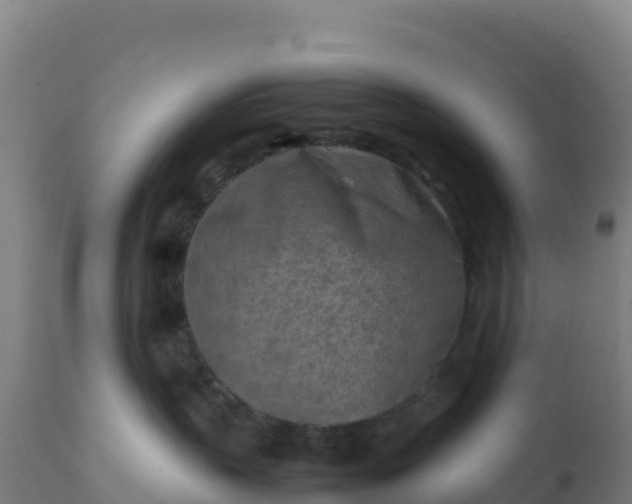 X0000112410383200908281820