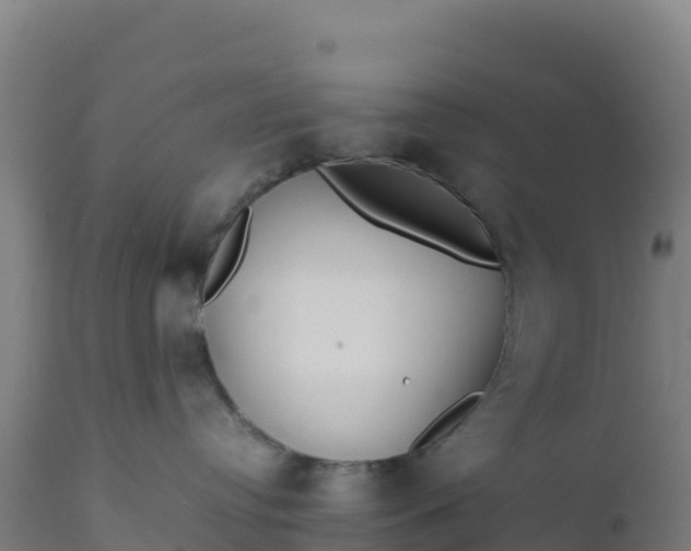 X0000112410384200908281820