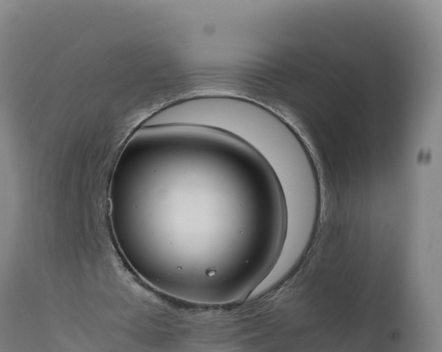 X0000112410385200908281819