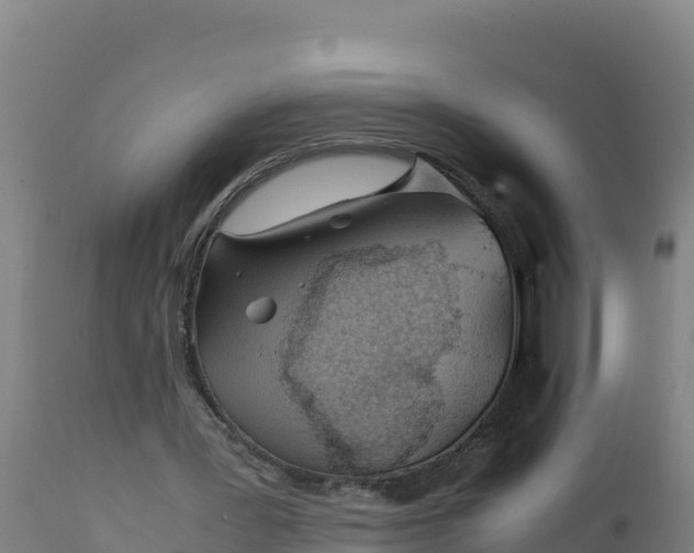 X0000112410387200908281819