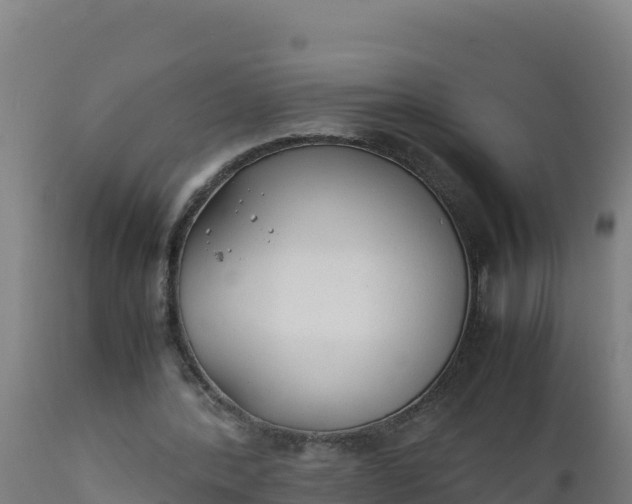 X0000112410388200908281819