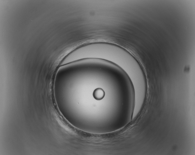 X0000112410389200908281819