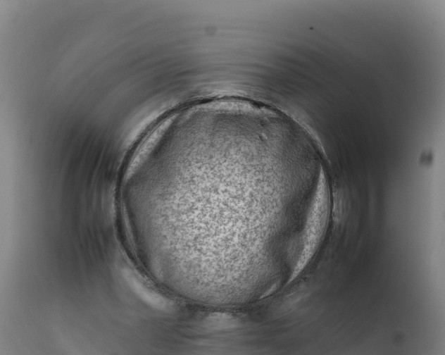 X0000112410390200908281819