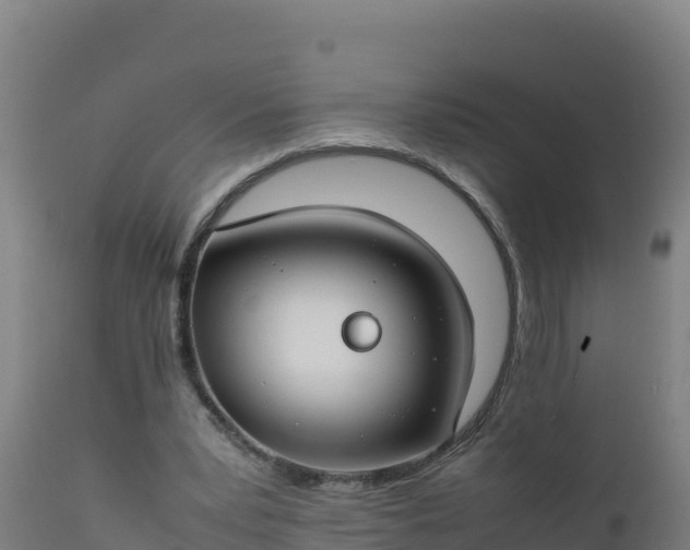 X0000112410391200908281819