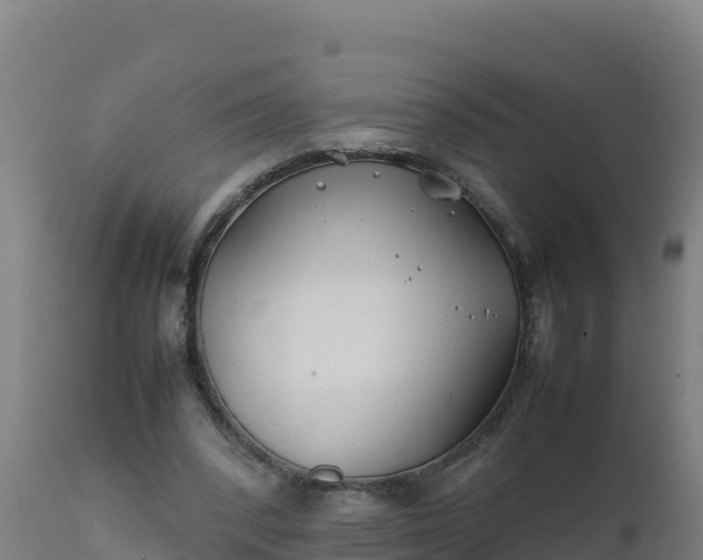 X0000112410392200908281819