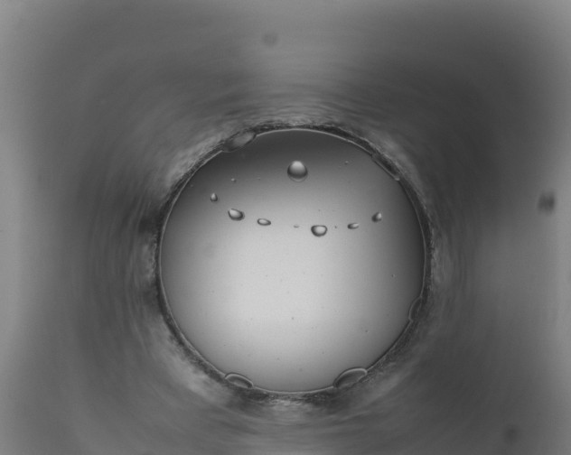 X0000112410393200908281819