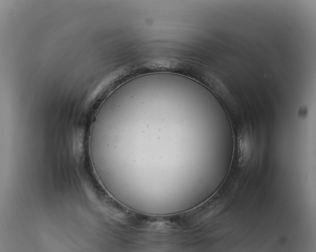 X0000112410396200908281819