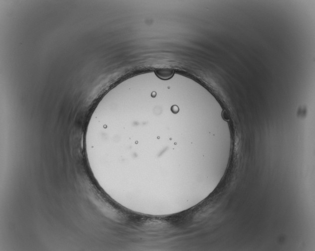 X0000112410397200908281819