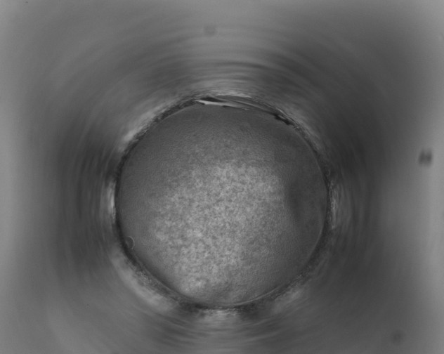 X0000112410398200908281819